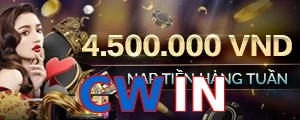 CWIN